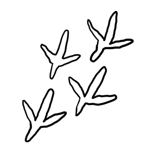 Pigeon Labs logo